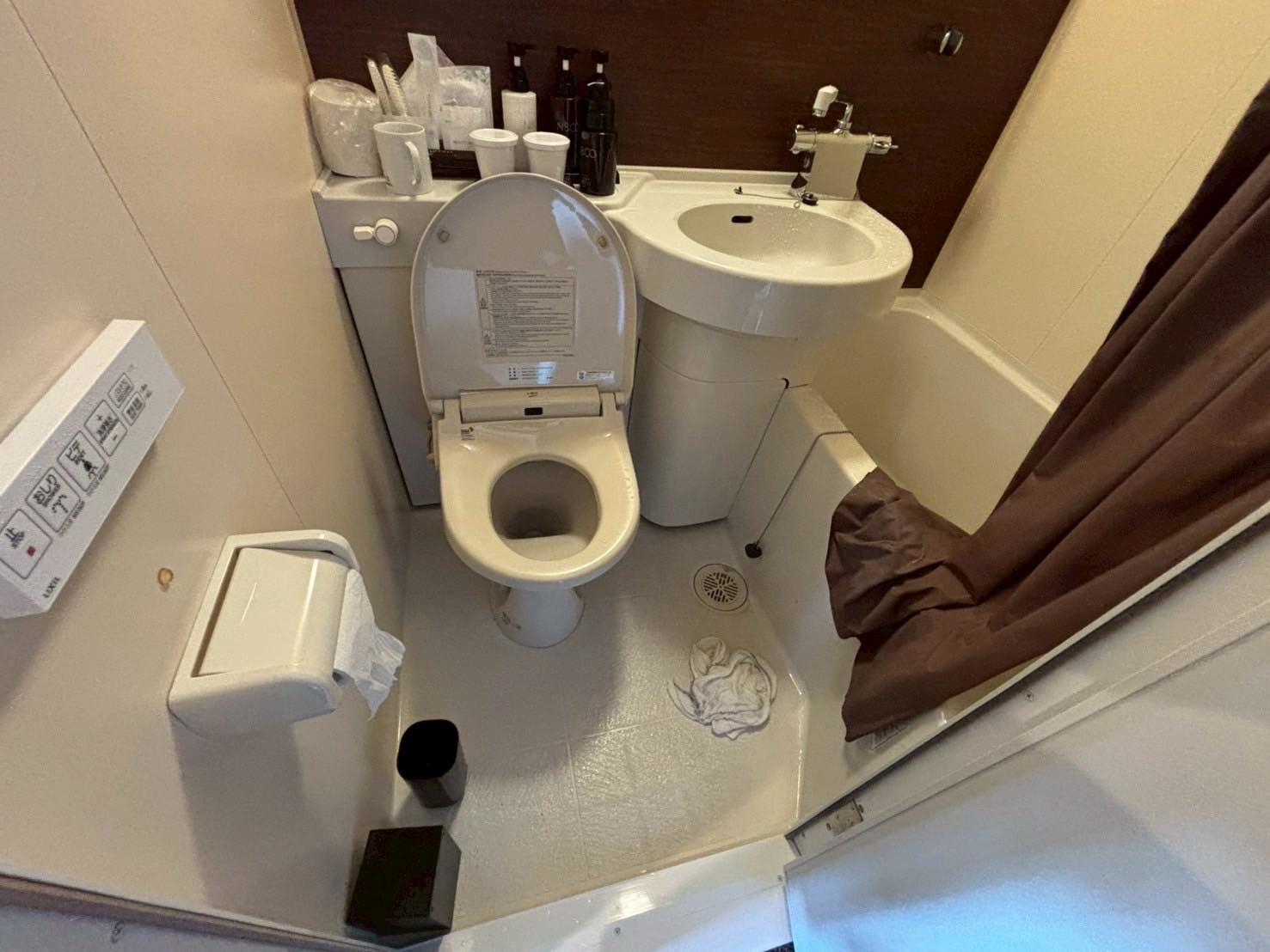 トイレ - 清掃前