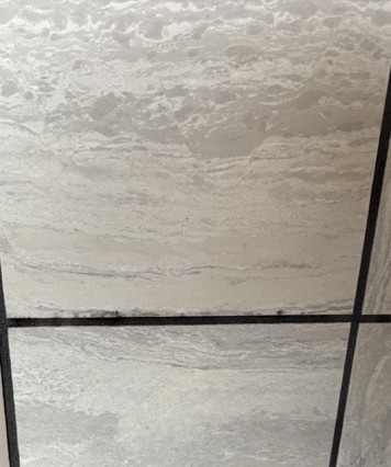 タイル壁カビ取り - 清掃前