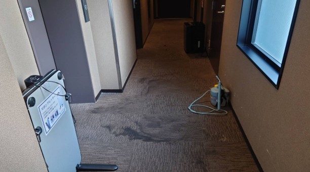 カーペットウェット洗浄 - 清掃前
