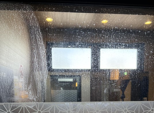 入口扉 - 清掃前