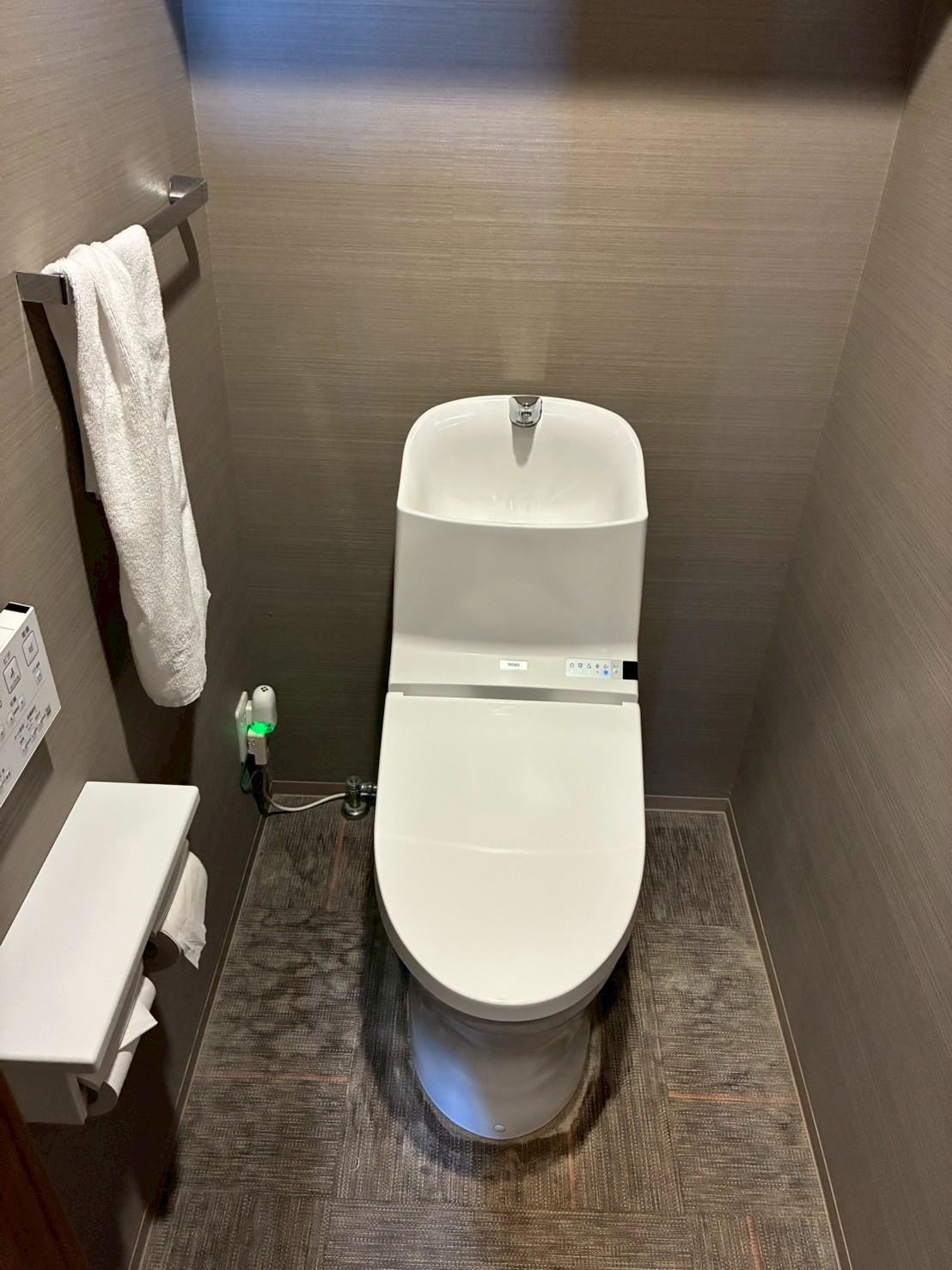 トイレ - 清掃前